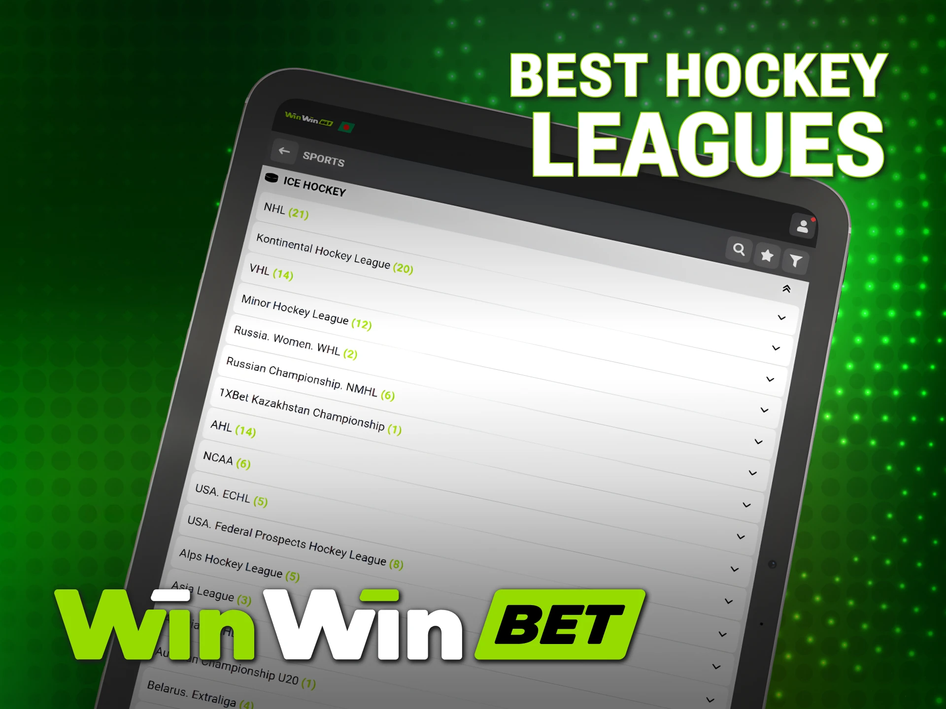 Choose from major WinWin Hockey leagues and start your winning session.