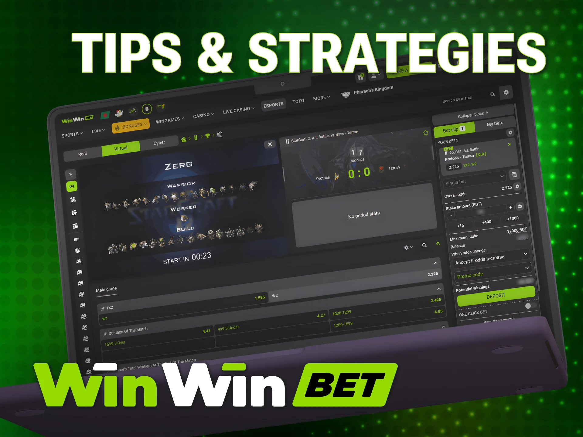 Implement winning WinWin StarCraft 2 strategies to maximize your returns.