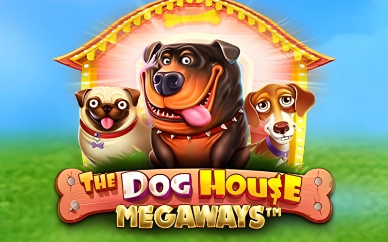 Play The Dog House Megaways Casino game for thousands of ways.
