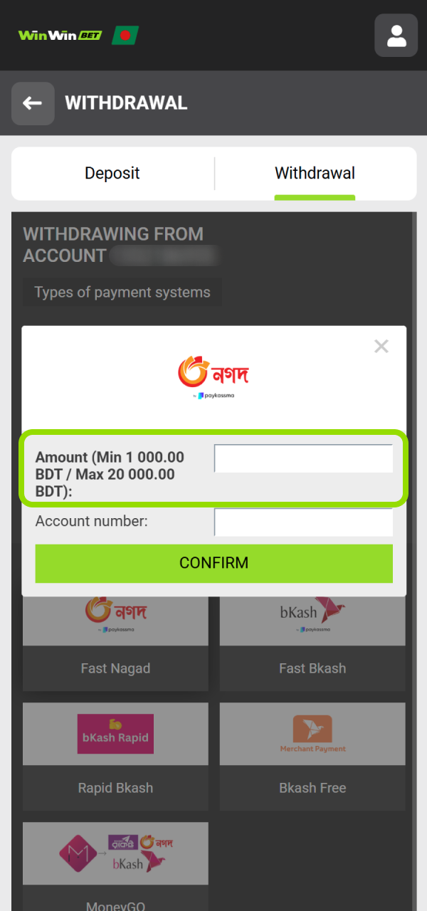 Input your payout info to Withdraw your balance from WinWin securely.